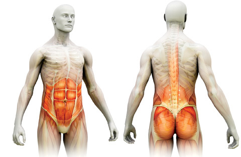 Lär dig bålstyrkans ABC för löpare