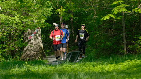 Välkommen till ultraträning & föreläsning