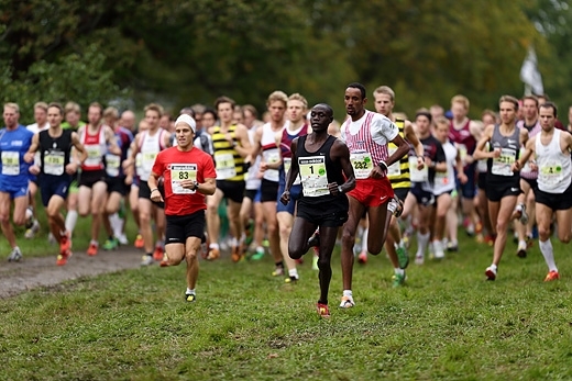 Korir & Eriksson snabbast i Lidingöloppet