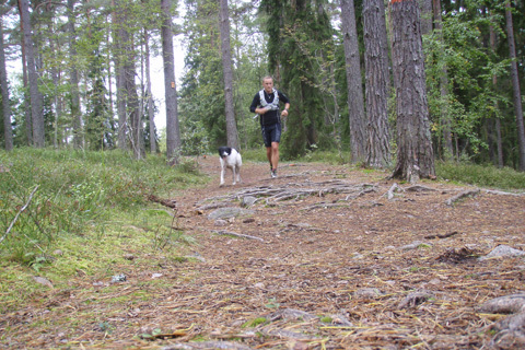 Svenska Trail-leder
