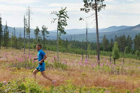 Vasaloppet startar Ultravasan 2014