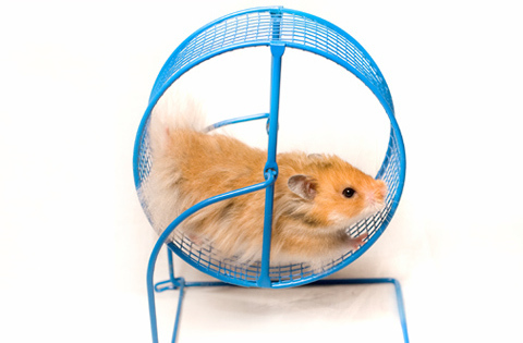 Måste man ha en träningsplan?