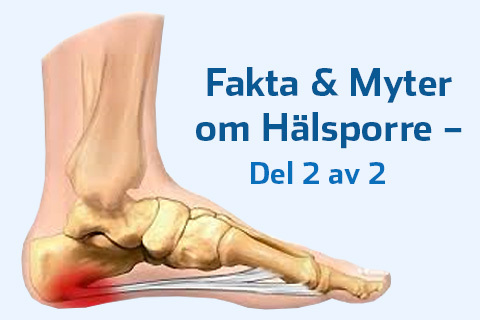 Hälsporre.jpg
