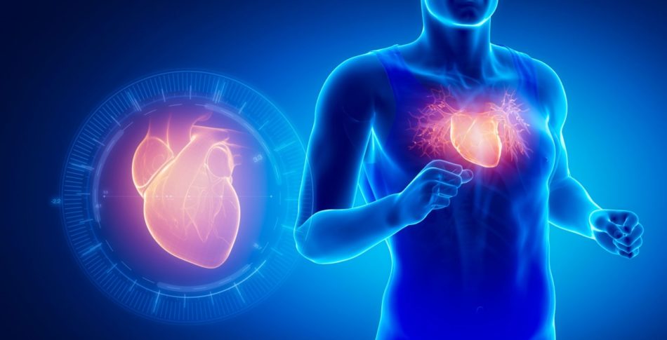 Om pulsträning och hjärtslag och livslängd