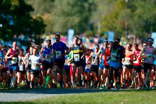 Spännande elitfält i TCS Lidingöloppet