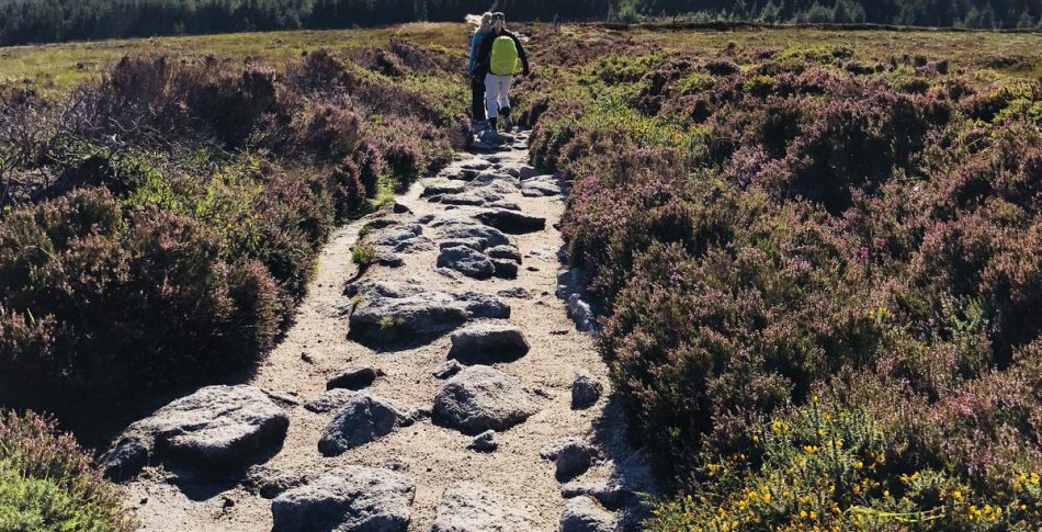 Hjärnfysikbloggen – Löpning ökar kreativiteten och lindrar depression