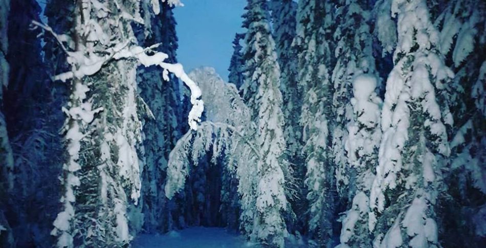 Julträna!