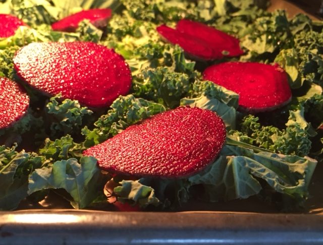 Tips för vegovariation