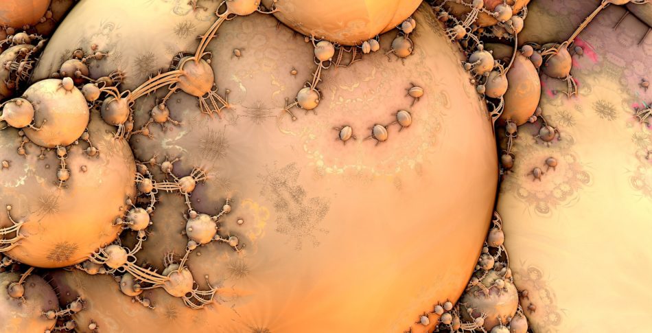 Kroppens fem byggstenar