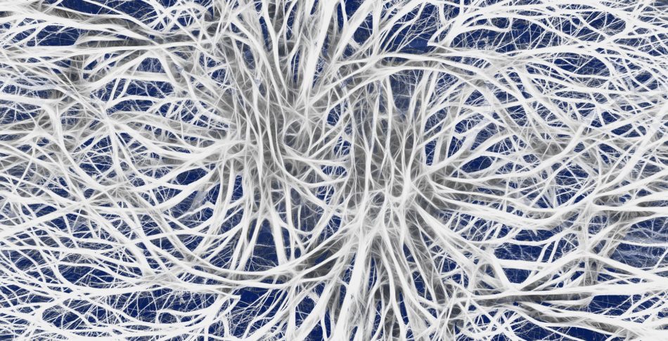 En kort löptur gör dig genast smartare