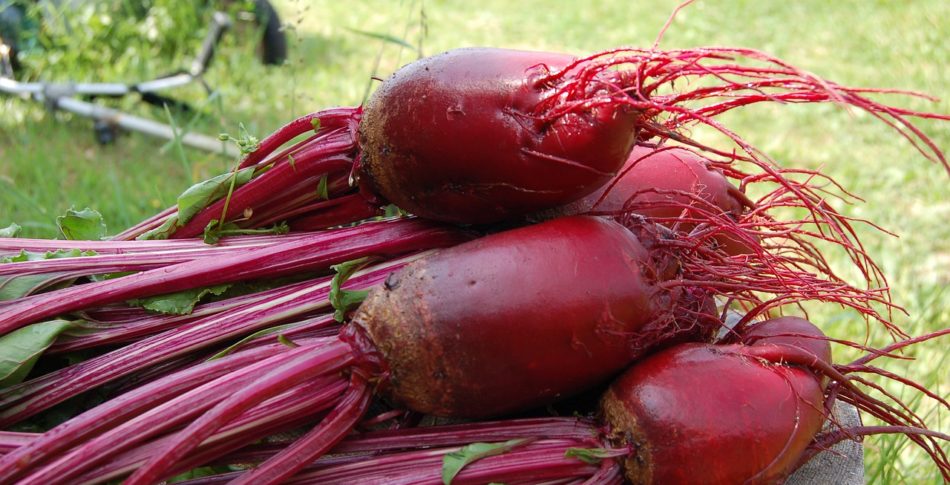 Rödbetsjuice gör dig starkare