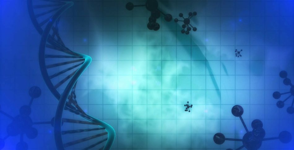 Norska intervaller bygger upp dig cell för cell