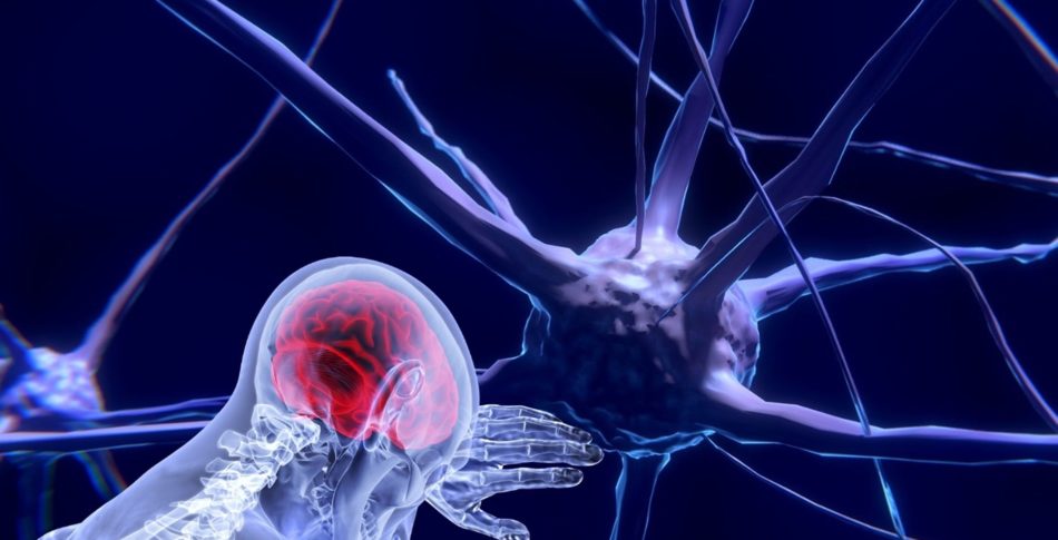 Löpning förändrar din hjärna och dina tankar