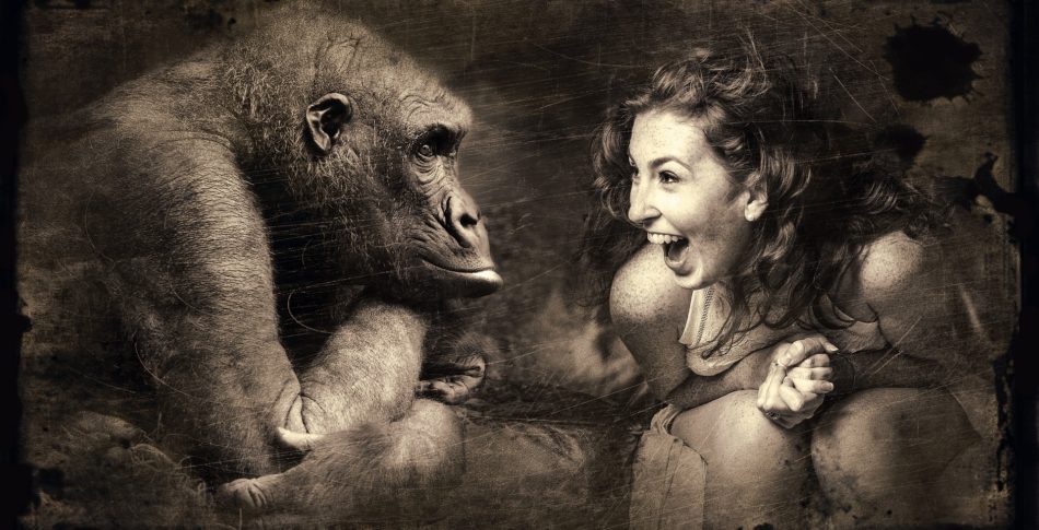 Hjärtat är gjort för löpning