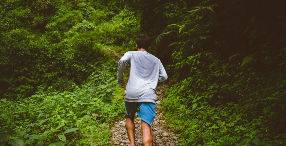 Norska intervaller föryngrar cellerna