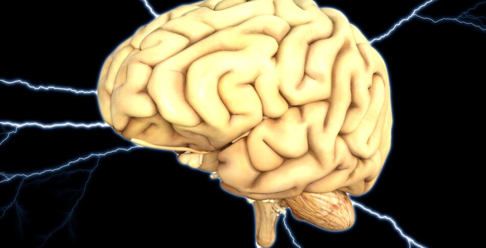 Hjärnfysikbloggen – Löpning är en mental reningsprocess