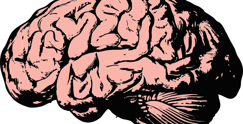 Sex saker som händer i hjärnan när du springer