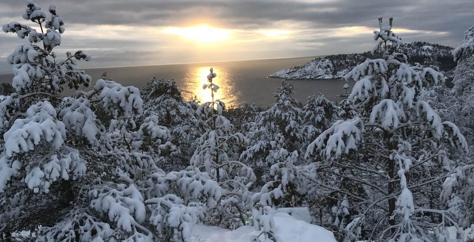 Ditt viktigaste nyårslöfte